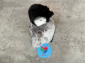 Plush Penguin (Animigos)