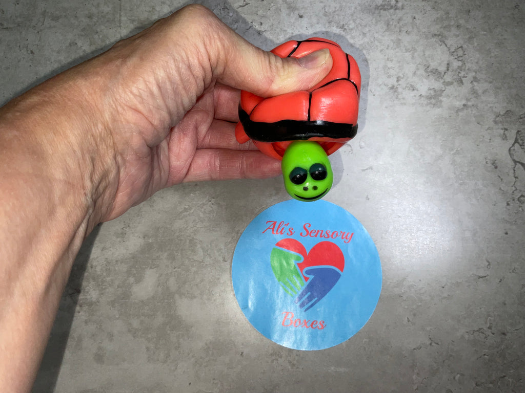Pop Head Turtle