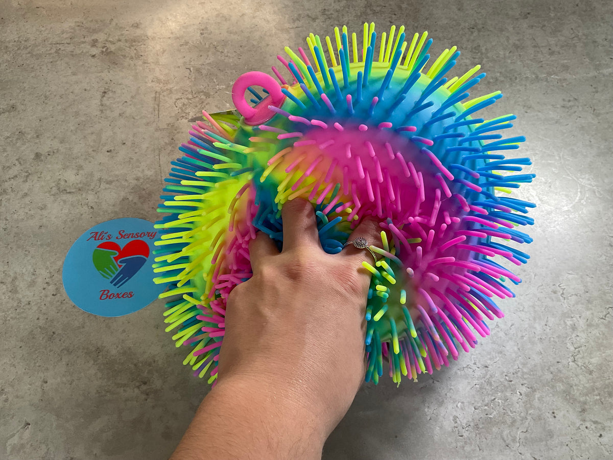 Giant Puffer Squish Ball