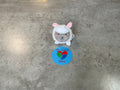Animal Sugar Squishy Plush