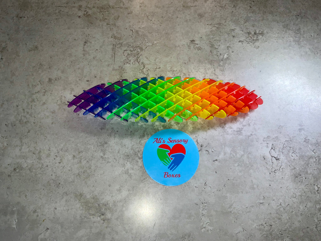 Rainbow Flexi Fidget Worm