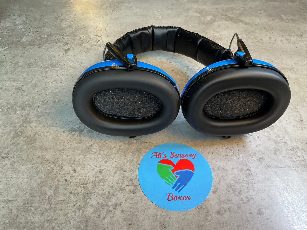 Ear Defenders