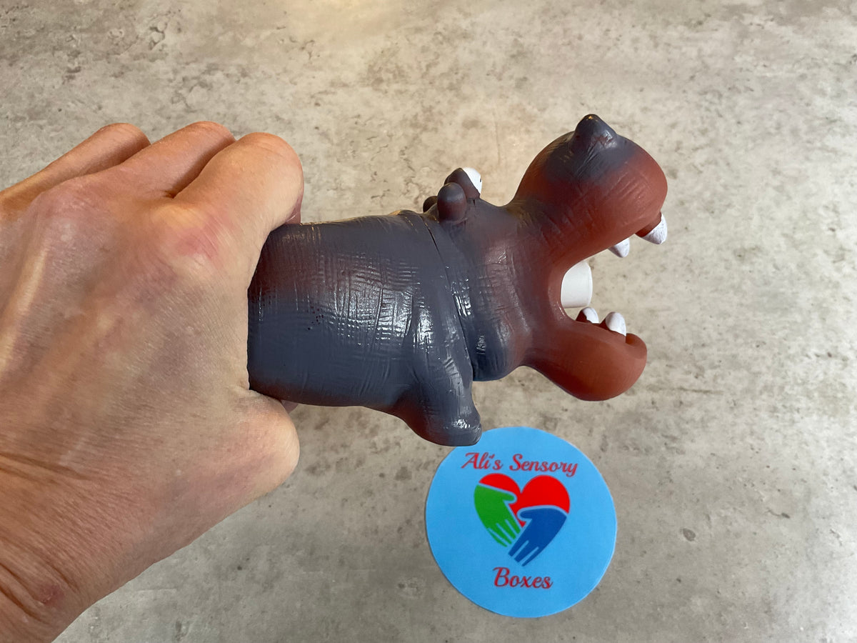 Noisy Squeezy Hippo