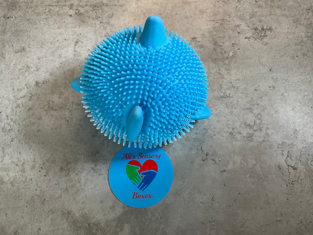 Squishy Shark
