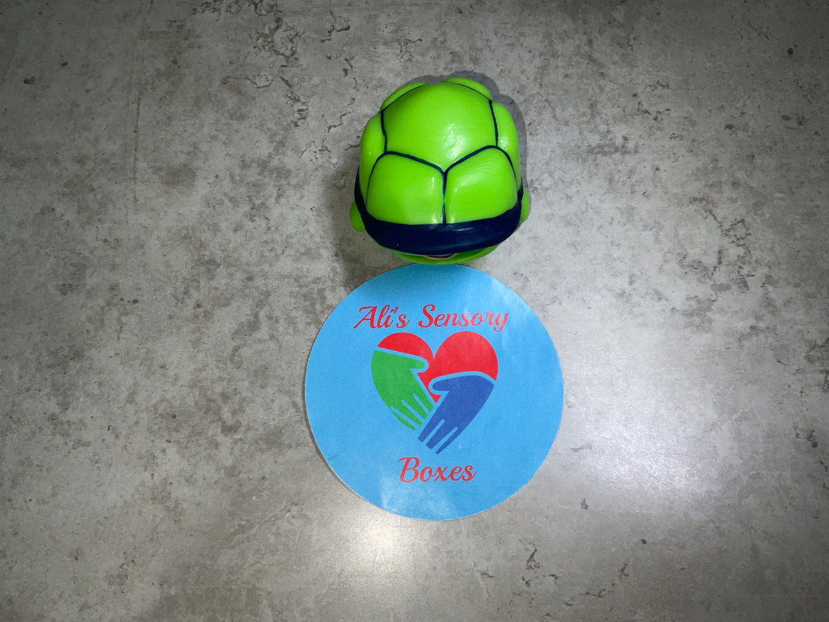 Pop Head Turtle
