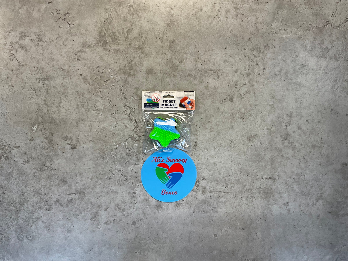 Fidget Sensory Magnet Slider