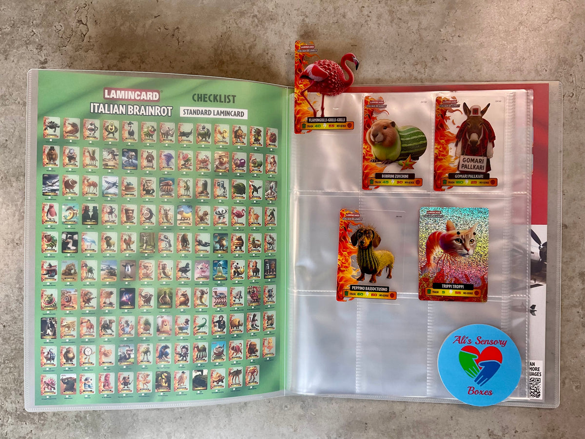 BrainRot Trading Cards Binder Starter Pack