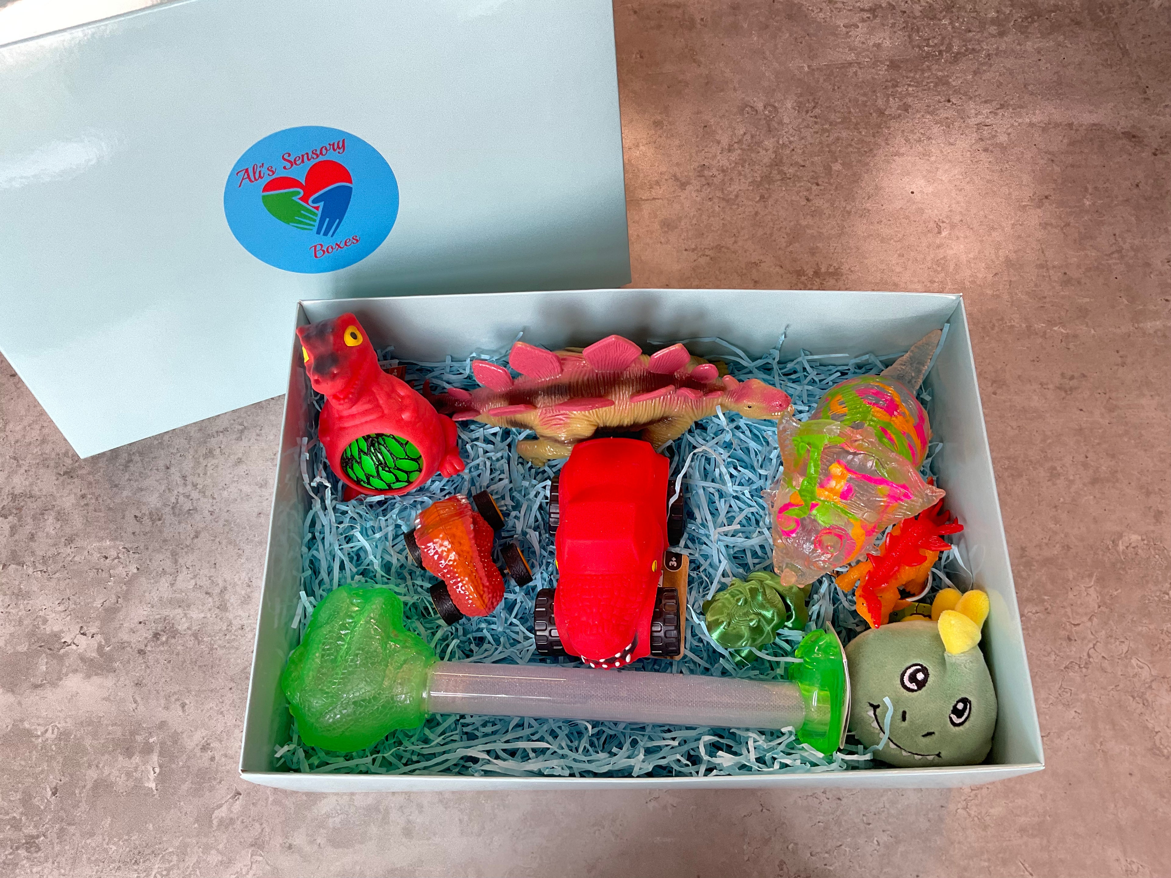 Dinosaur Themed Large Sensory Box