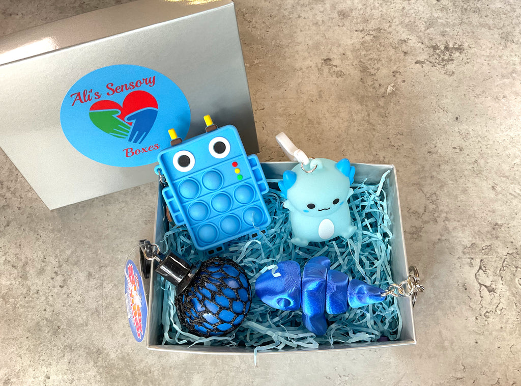 Small Fidget Lanyard Refill Box