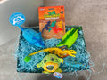 Dinosaur Themed Medium Sensory Box