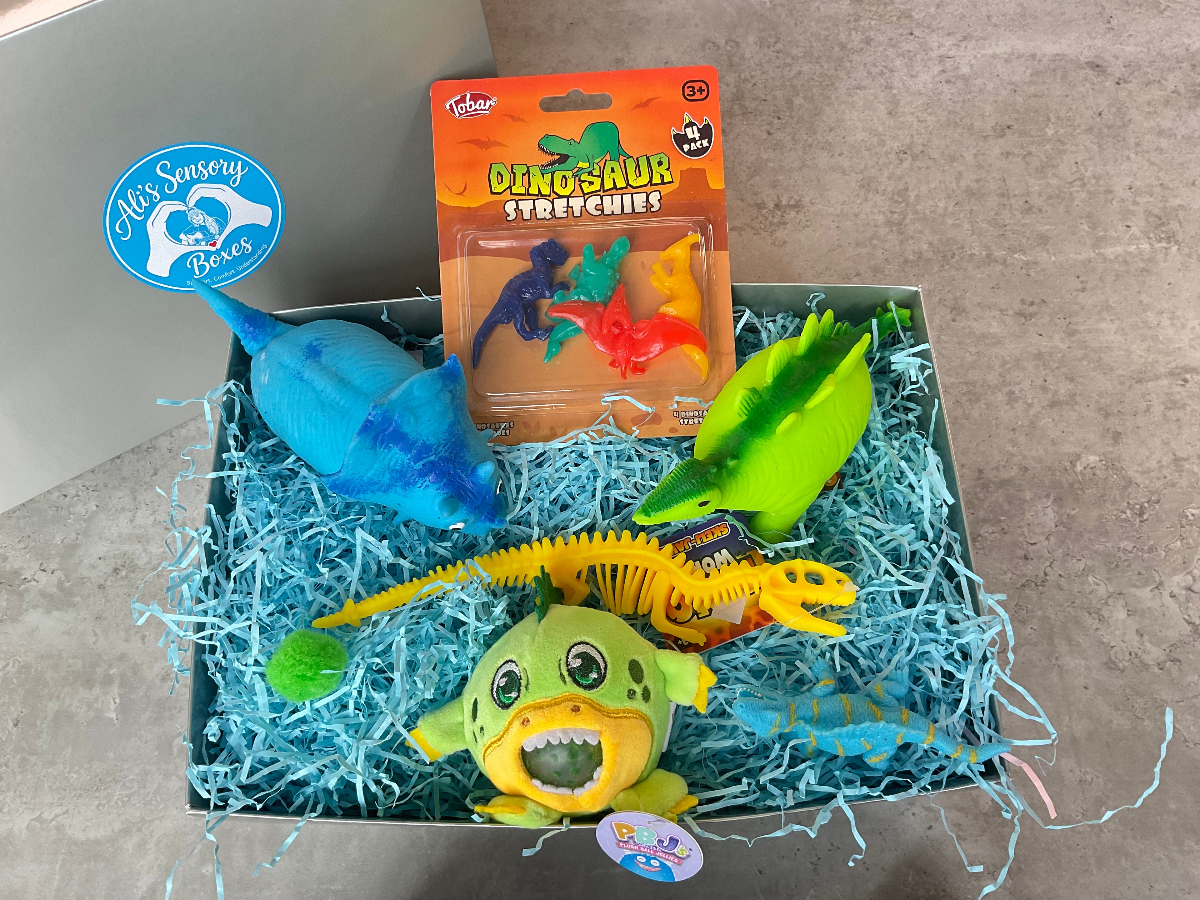 Dinosaur Themed Medium Sensory Box