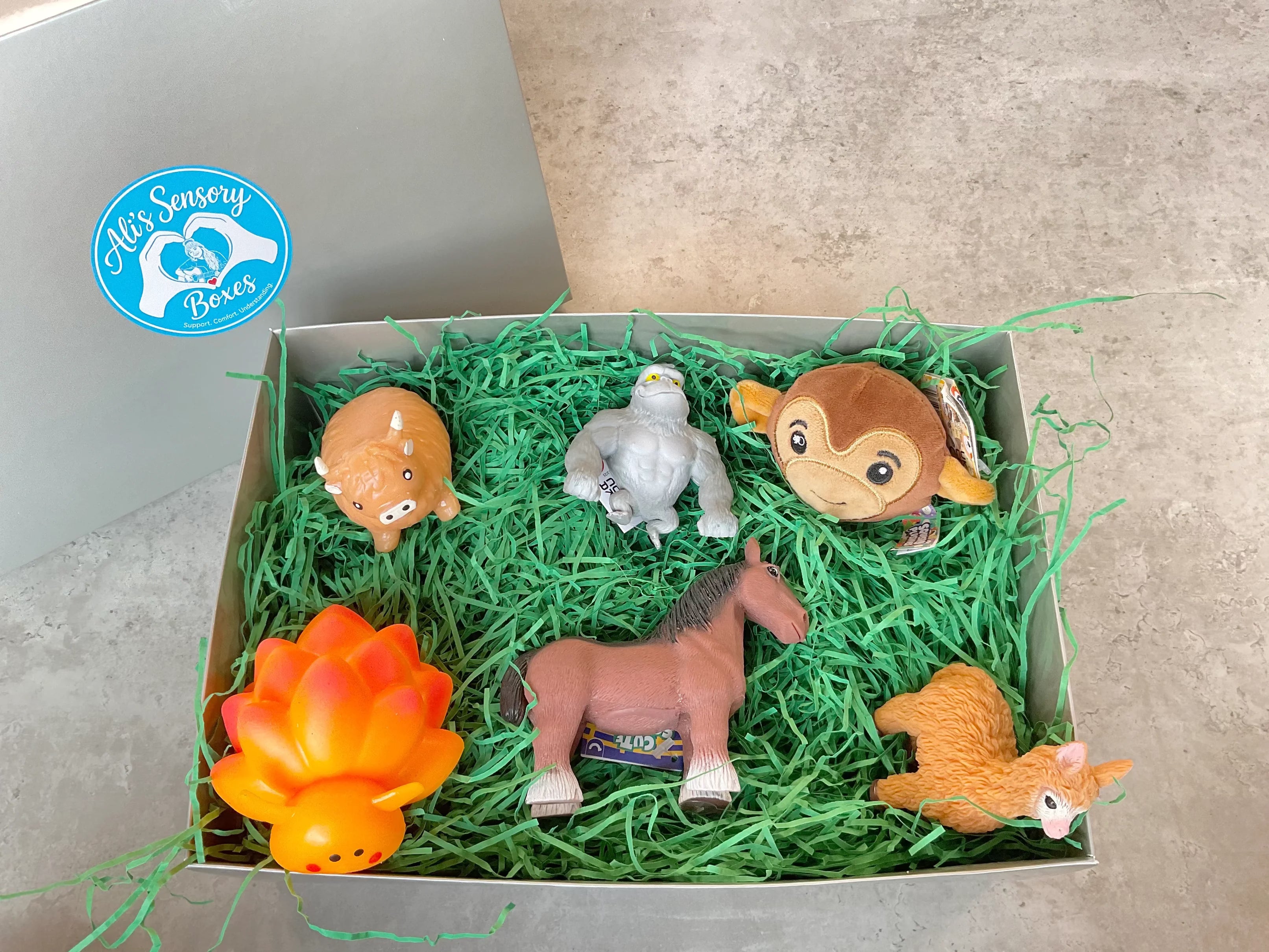 Animal Themed Medium Sensory Box