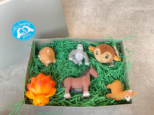 Animal Themed Medium Sensory Box