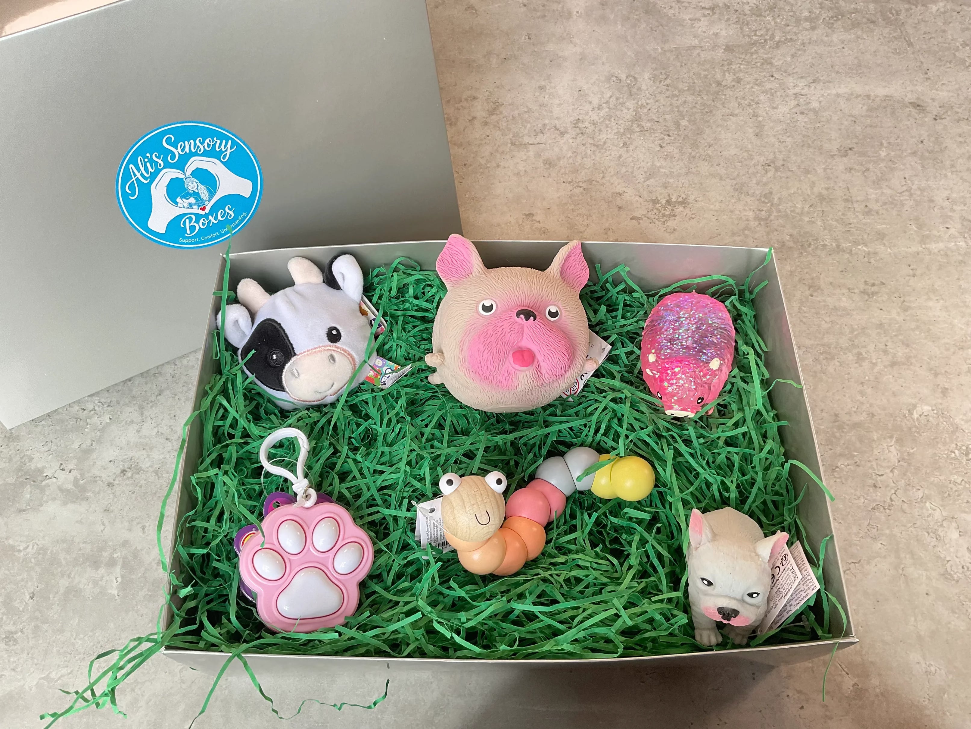 Animal Themed Medium Sensory Box